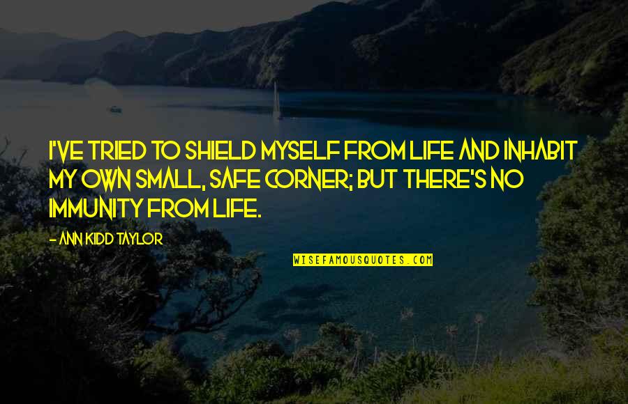 Jealous Of Relationship Quotes By Ann Kidd Taylor: I've tried to shield myself from life and