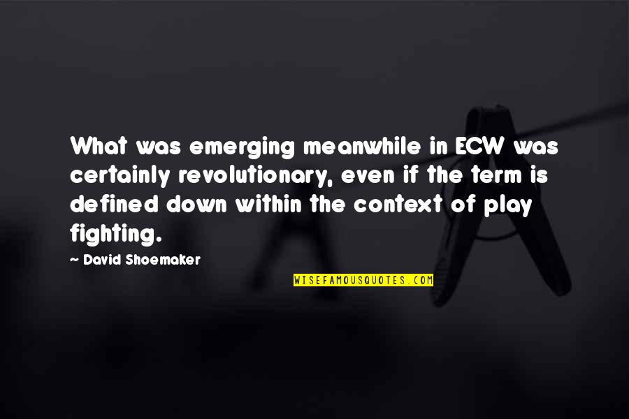 Jeandrea Martorana Quotes By David Shoemaker: What was emerging meanwhile in ECW was certainly