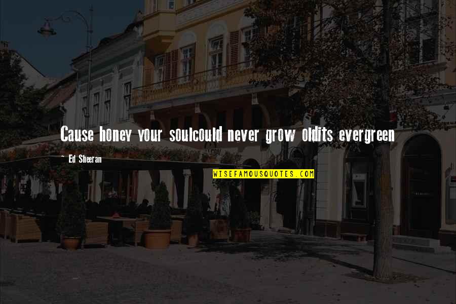 Jekabs Straume Quotes By Ed Sheeran: Cause honey your soulcould never grow oldits evergreen