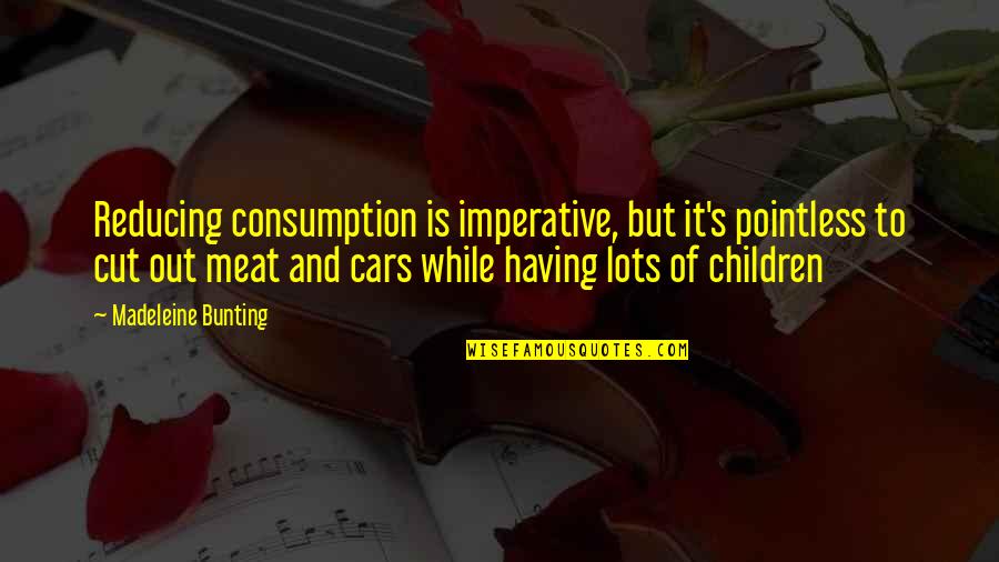 Jelacicev Quotes By Madeleine Bunting: Reducing consumption is imperative, but it's pointless to