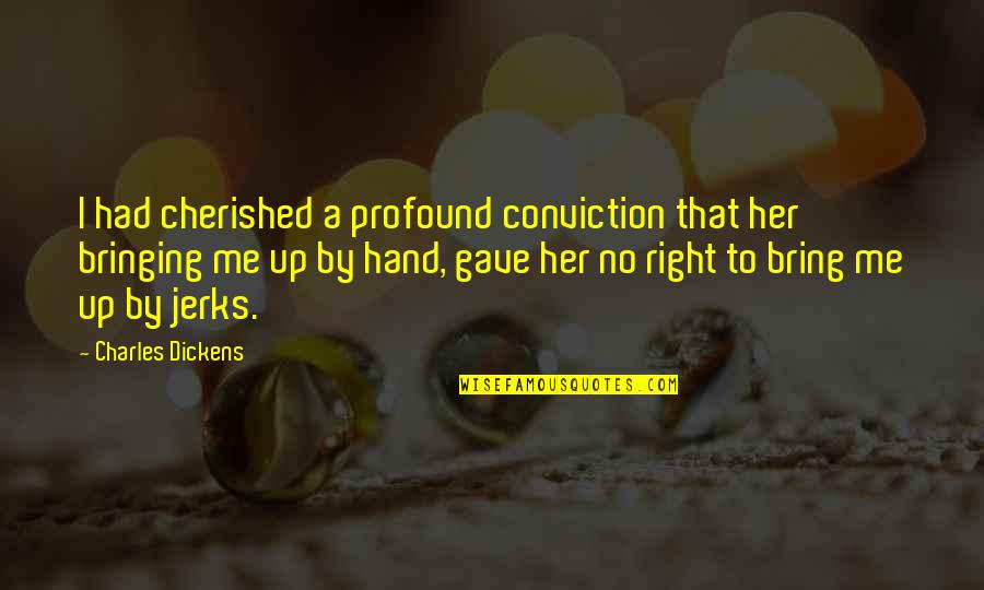 Jerks Quotes By Charles Dickens: I had cherished a profound conviction that her