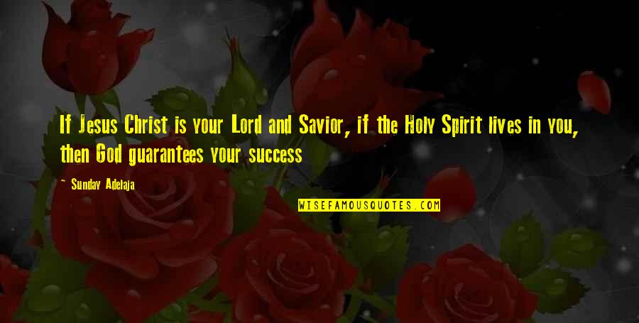 Jesus The Savior Quotes By Sunday Adelaja: If Jesus Christ is your Lord and Savior,