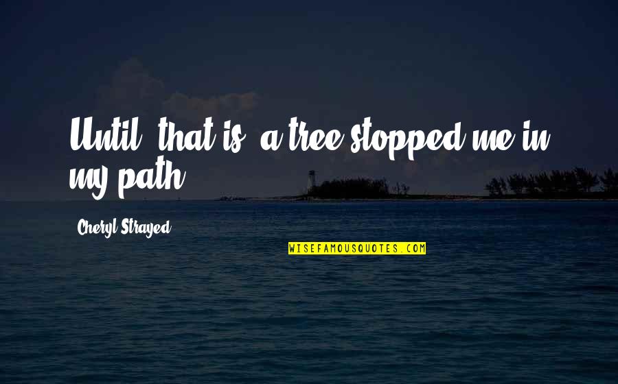 Jirarat Thailand Quotes By Cheryl Strayed: Until, that is, a tree stopped me in