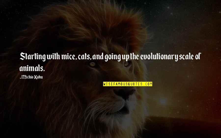 Jnudde Quotes By Michio Kaku: Starting with mice, cats, and going up the