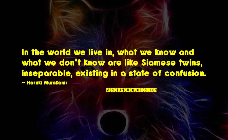 Joerger Germany Quotes By Haruki Murakami: In the world we live in, what we