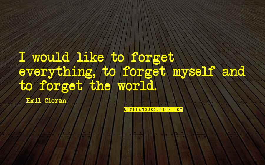 John Calvin Reformation Quotes By Emil Cioran: I would like to forget everything, to forget