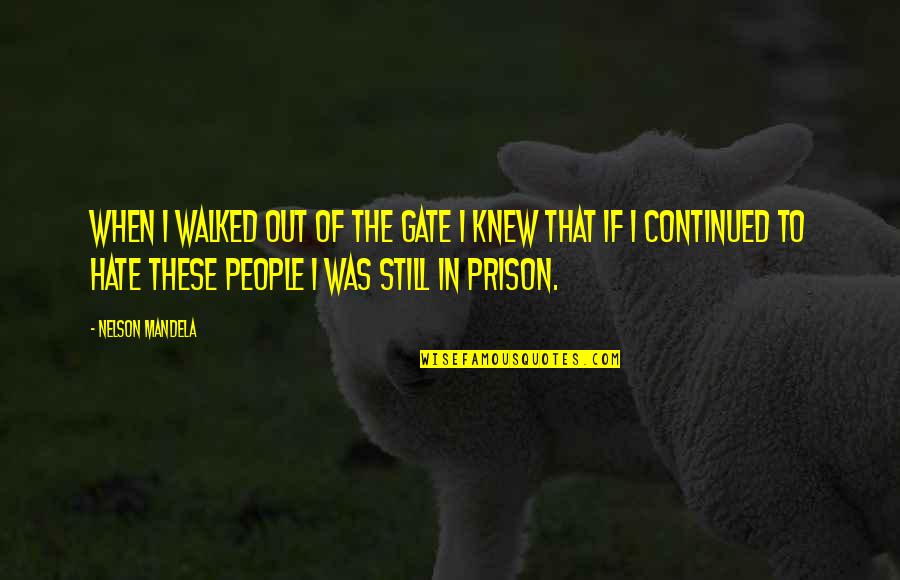 Joke Filipino Quotes By Nelson Mandela: When I walked out of the gate I