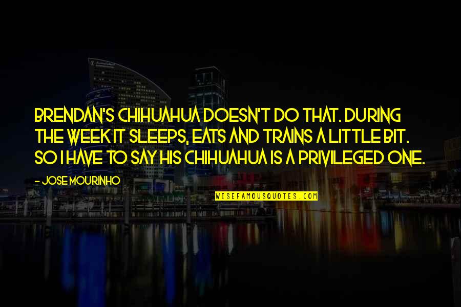 Jose Mourinho Quotes By Jose Mourinho: Brendan's chihuahua doesn't do that. During the week