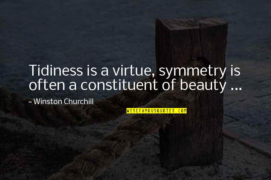 Josh Sundquist Quotes By Winston Churchill: Tidiness is a virtue, symmetry is often a