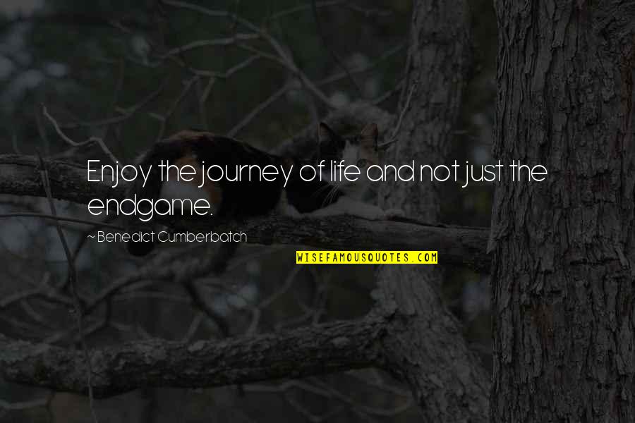 Journey And Quotes By Benedict Cumberbatch: Enjoy the journey of life and not just