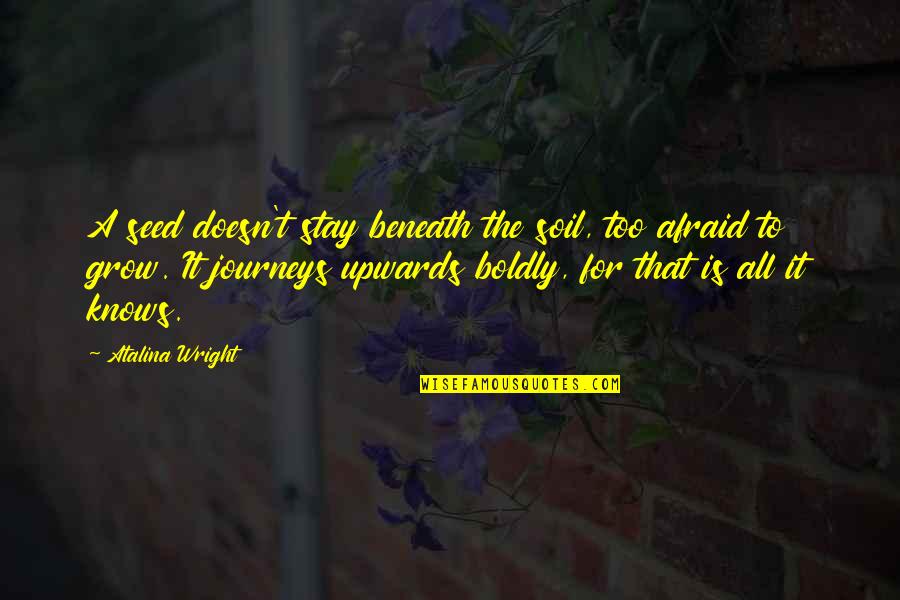 Journeys Quotes Quotes By Atalina Wright: A seed doesn't stay beneath the soil, too