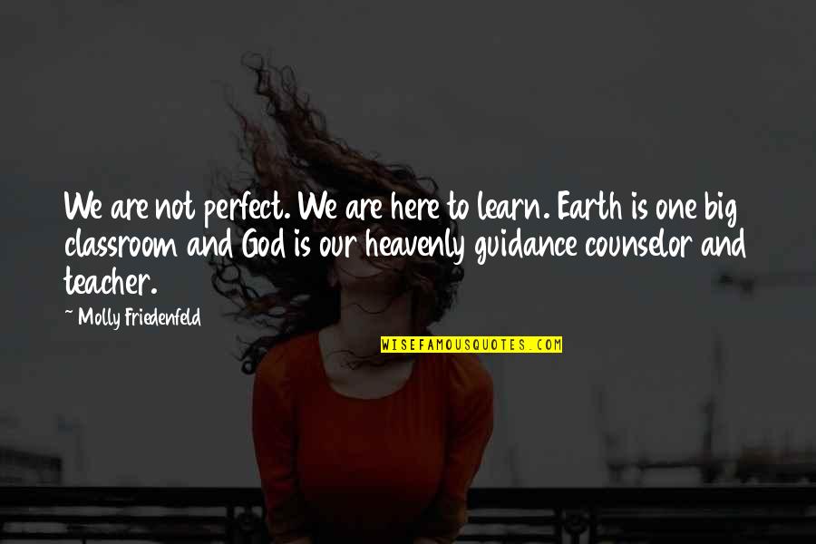 Joy Love Peace Quotes By Molly Friedenfeld: We are not perfect. We are here to