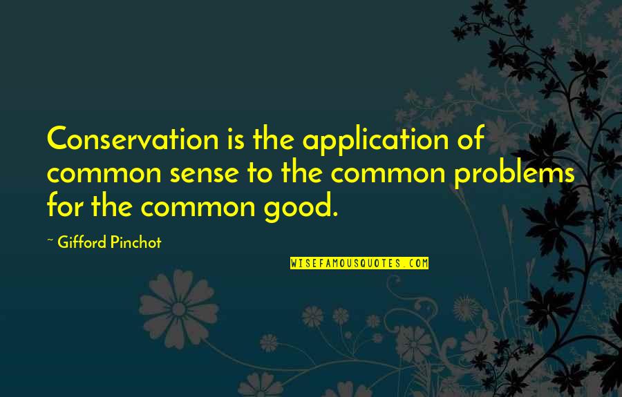 Judith Sills Quotes By Gifford Pinchot: Conservation is the application of common sense to