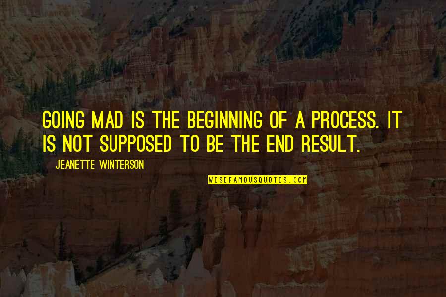 Judy Del Socorro Quotes By Jeanette Winterson: Going mad is the beginning of a process.