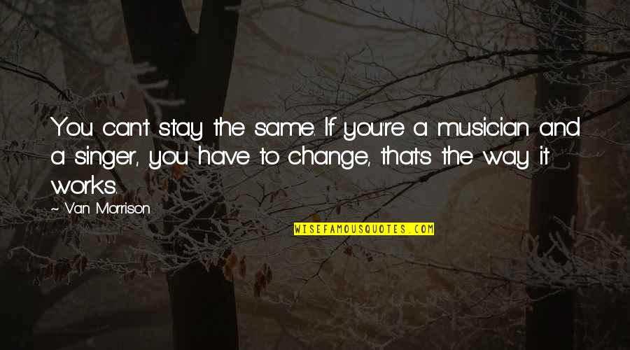 Jumanji Dice Quotes By Van Morrison: You can't stay the same. If you're a