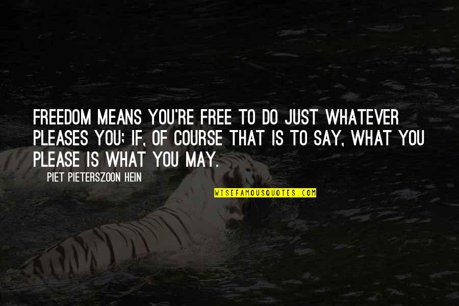 Juranta Quotes By Piet Pieterszoon Hein: Freedom means you're free to do just whatever