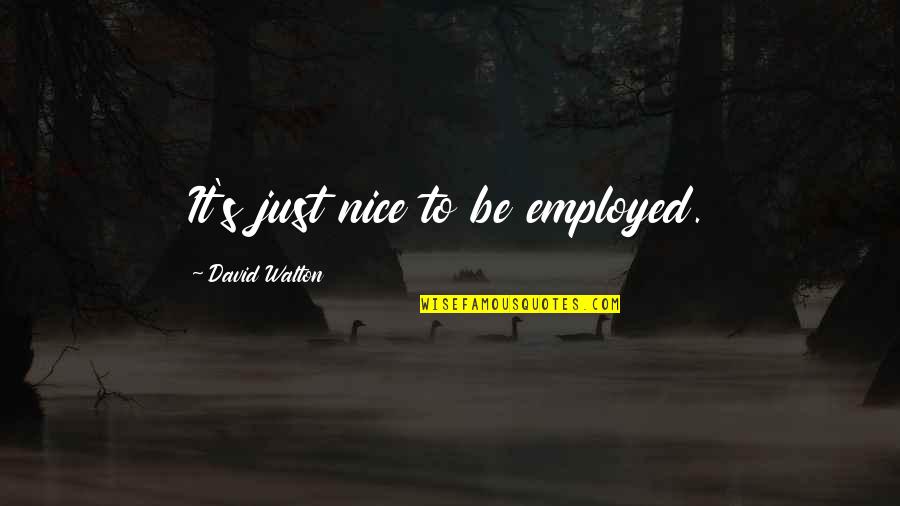 Just Be Nice Quotes By David Walton: It's just nice to be employed.