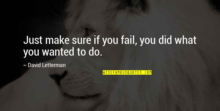 Just Do You Quotes By David Letterman: Just make sure if you fail, you did