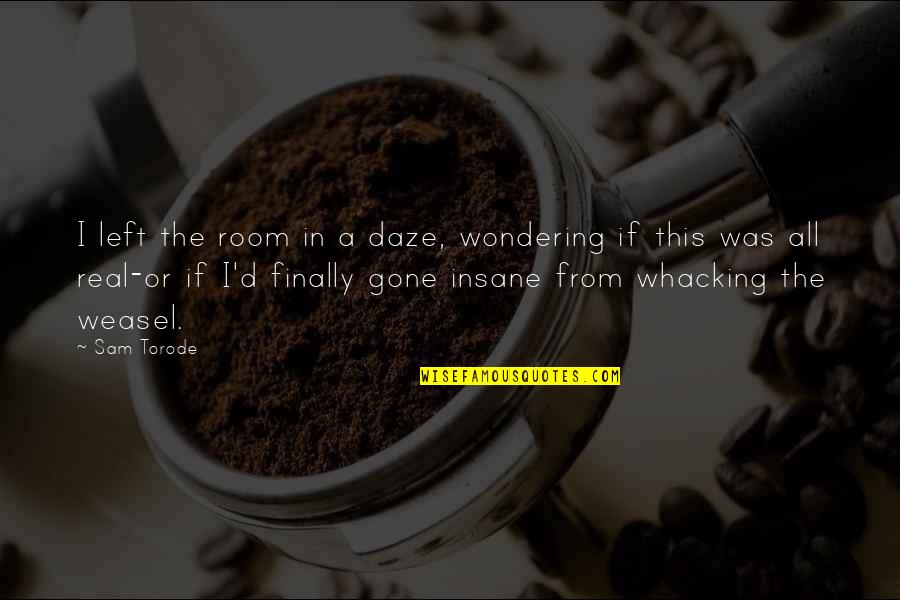 Just Gotta Be Happy Quotes By Sam Torode: I left the room in a daze, wondering