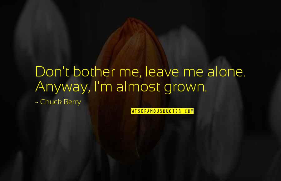 Just Leave Me Alone Best Quotes By Chuck Berry: Don't bother me, leave me alone. Anyway, I'm