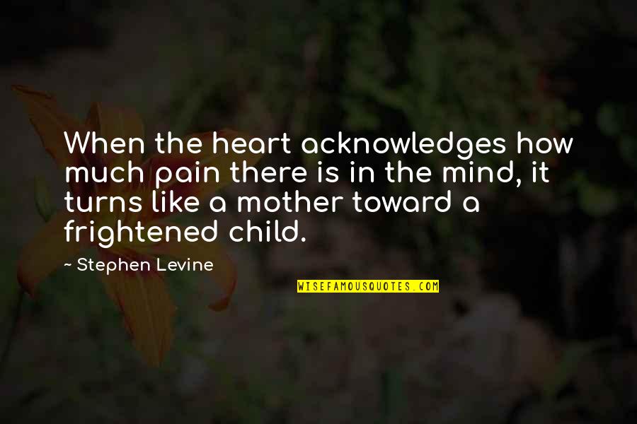 Just Like My Mother Quotes By Stephen Levine: When the heart acknowledges how much pain there