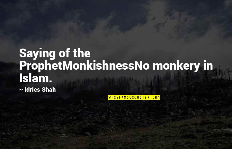 Just Saying No Quotes By Idries Shah: Saying of the ProphetMonkishnessNo monkery in Islam.