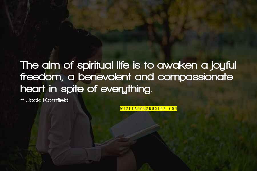 Kafalar Karisik Quotes By Jack Kornfield: The aim of spiritual life is to awaken