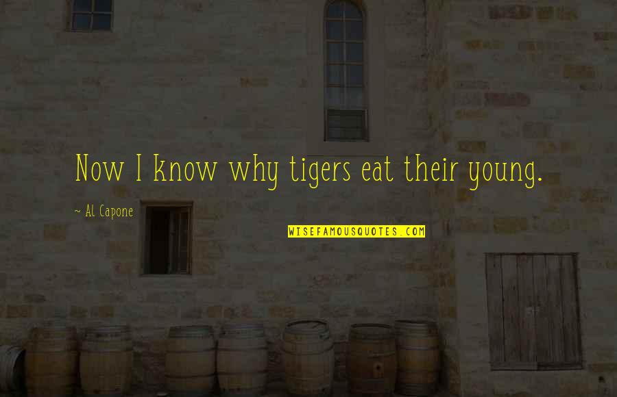 Kairys Marie Quotes By Al Capone: Now I know why tigers eat their young.