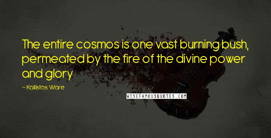 Kallistos Ware quotes: The entire cosmos is one vast burning bush, permeated by the fire of the divine power and glory