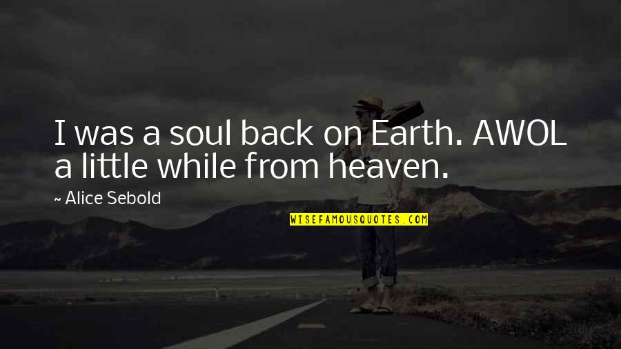 Kalra Caste Quotes By Alice Sebold: I was a soul back on Earth. AWOL