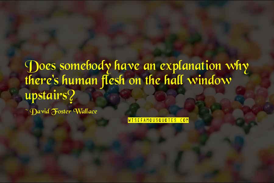 Kamaile Hiapo Quotes By David Foster Wallace: Does somebody have an explanation why there's human