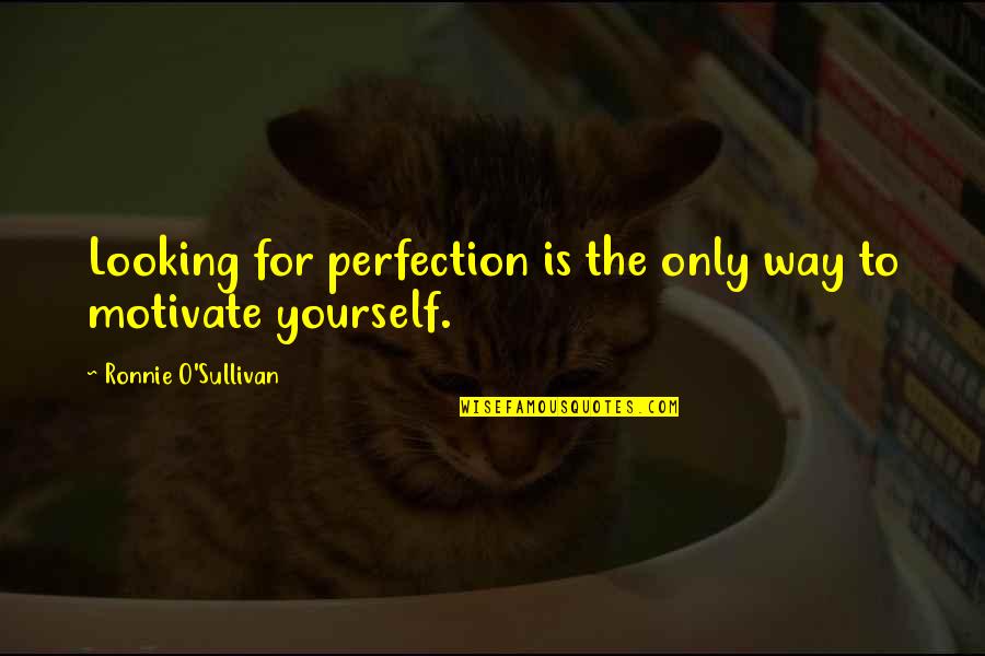 Kamiel Spiessens Quotes By Ronnie O'Sullivan: Looking for perfection is the only way to