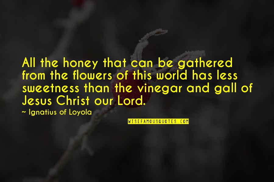 Kander Quotes By Ignatius Of Loyola: All the honey that can be gathered from