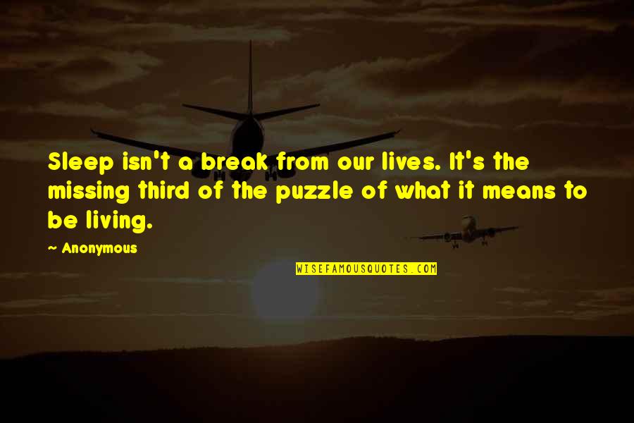 Kandinski Quotes By Anonymous: Sleep isn't a break from our lives. It's