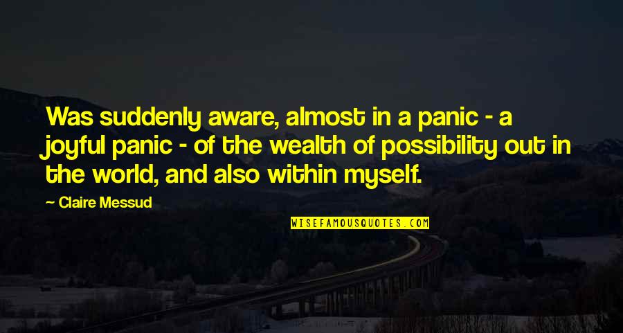 Kant And Mill Readings Quotes By Claire Messud: Was suddenly aware, almost in a panic -