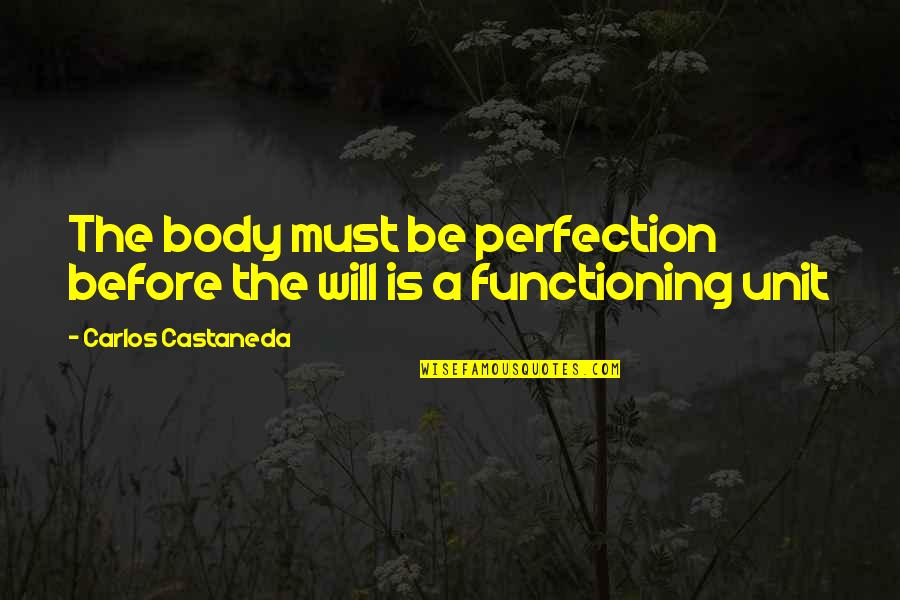 Karena Ku Sayang Quotes By Carlos Castaneda: The body must be perfection before the will