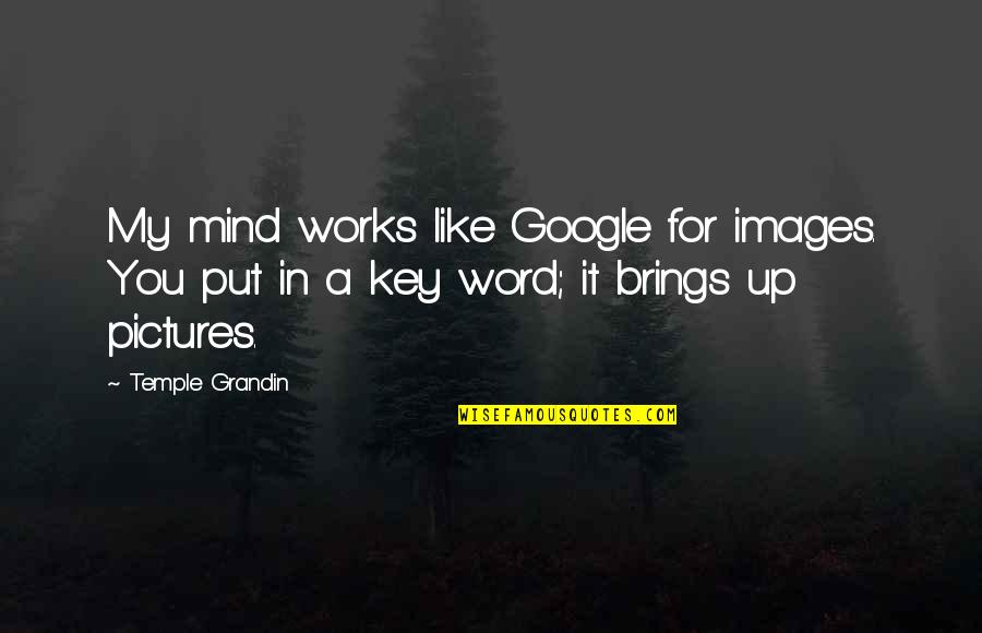 Karl Pilkington Machu Picchu Quotes By Temple Grandin: My mind works like Google for images. You