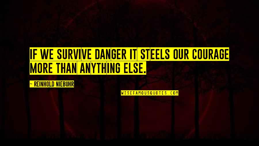 Karluk Quotes By Reinhold Niebuhr: If we survive danger it steels our courage