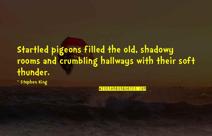 Kartheiser Vincent Quotes By Stephen King: Startled pigeons filled the old, shadowy rooms and