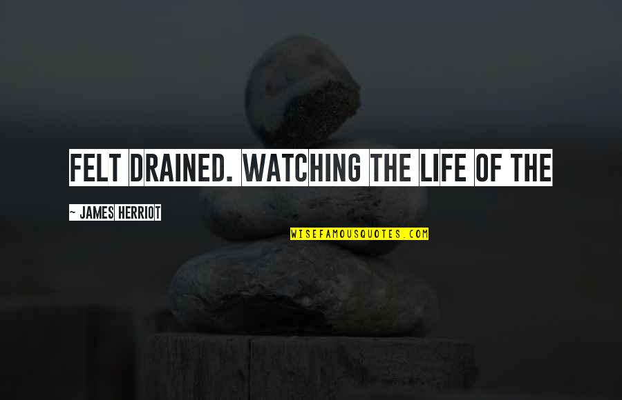 Kaslin Baycrest Quotes By James Herriot: Felt drained. Watching the life of the