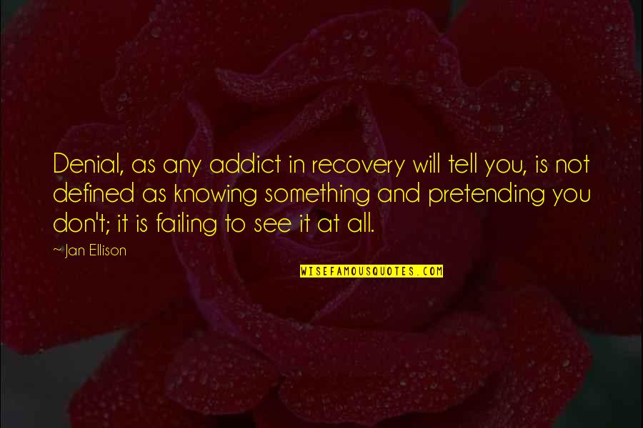 Kauhurituaali Quotes By Jan Ellison: Denial, as any addict in recovery will tell