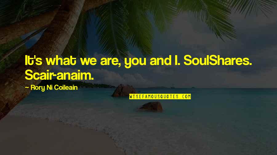 Kbr Stock Quotes By Rory Ni Coileain: It's what we are, you and I. SoulShares.