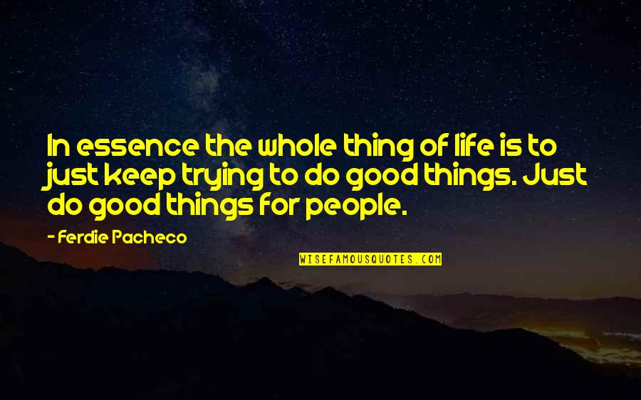 Keep Trying Life Quotes By Ferdie Pacheco: In essence the whole thing of life is