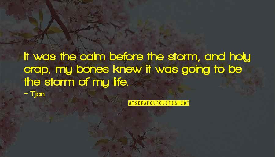 Kellan And Shay Quotes By Tijan: It was the calm before the storm, and