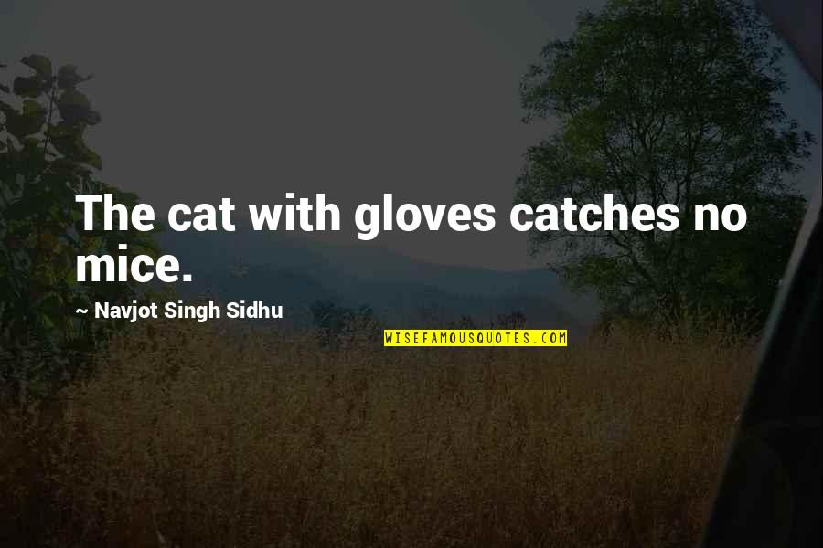 Kemanat Quotes By Navjot Singh Sidhu: The cat with gloves catches no mice.