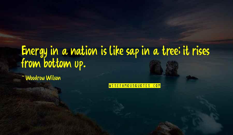 Kengo Takanashi Quotes By Woodrow Wilson: Energy in a nation is like sap in