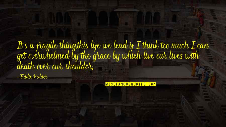 Kenidorsal Quotes By Eddie Vedder: It's a fragile thing,this life we lead if