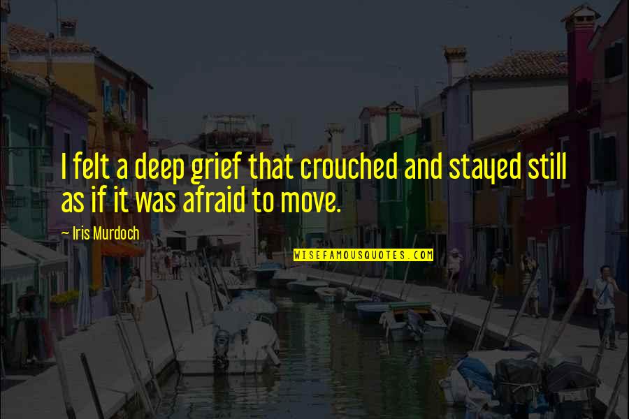 Ketua Kpk Quotes By Iris Murdoch: I felt a deep grief that crouched and
