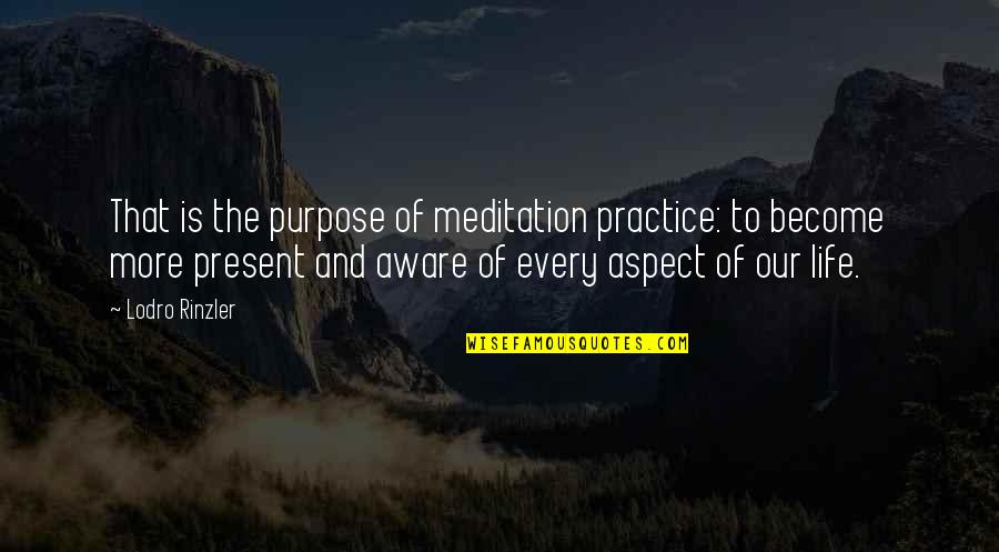 Kezdooldal Quotes By Lodro Rinzler: That is the purpose of meditation practice: to