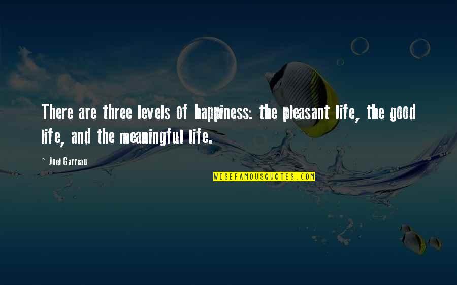 Khuraman Gasimova Quotes By Joel Garreau: There are three levels of happiness: the pleasant